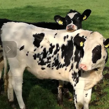 Apartmán Fehn Rhauderfehn